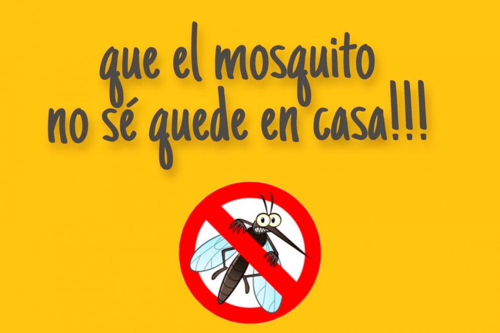 La otra epidemia: estudiantes de secundaria realizaron una campaña para  prevenir la propagación del mosquito del dengue - NacPop Cañuelas